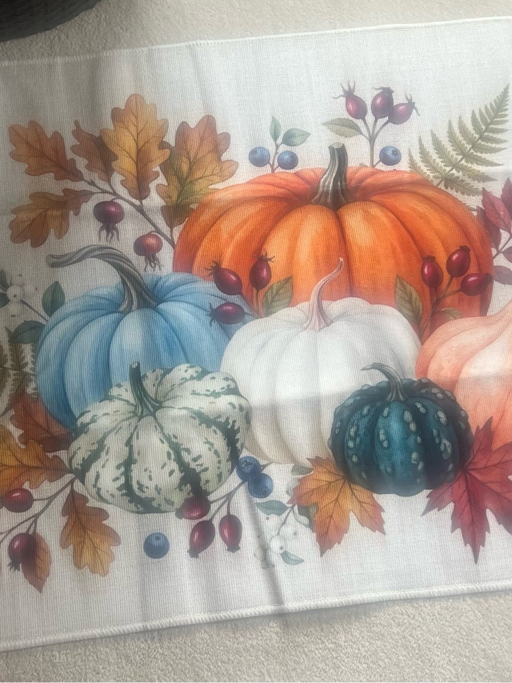 Fall indoor/outdoor Matt